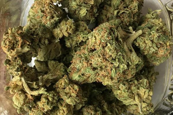 Durban Poison - Sativa