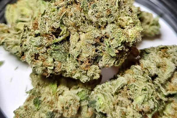 Gorilla Glue #4 - Hybrid