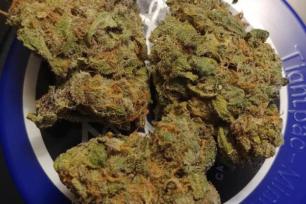 Granddaddy Purple - Indica