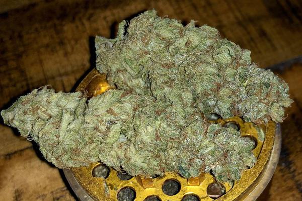 Green Crack - Sativa