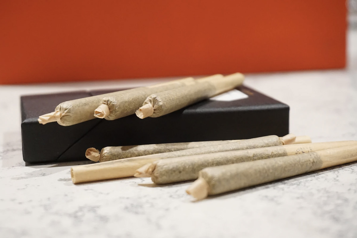 Northern Lights Pre-Roll - Single