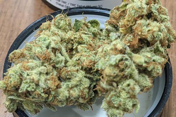 Northern Lights - Indica