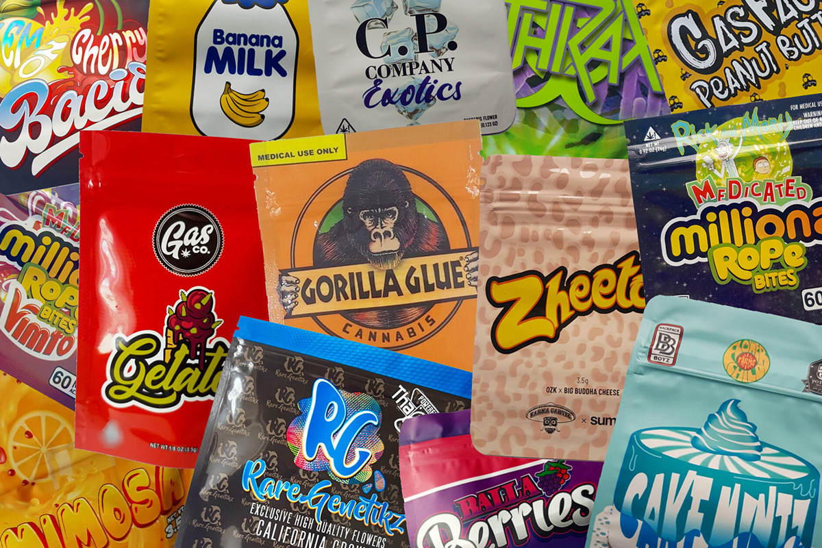 Premium Sampler Pack - 10-Pack