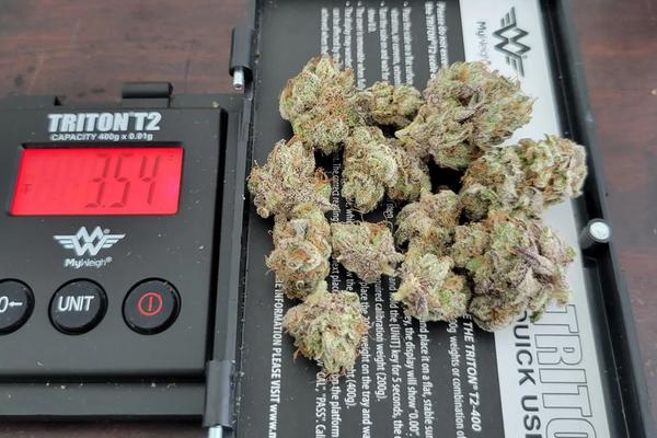Purple Haze - Sativa