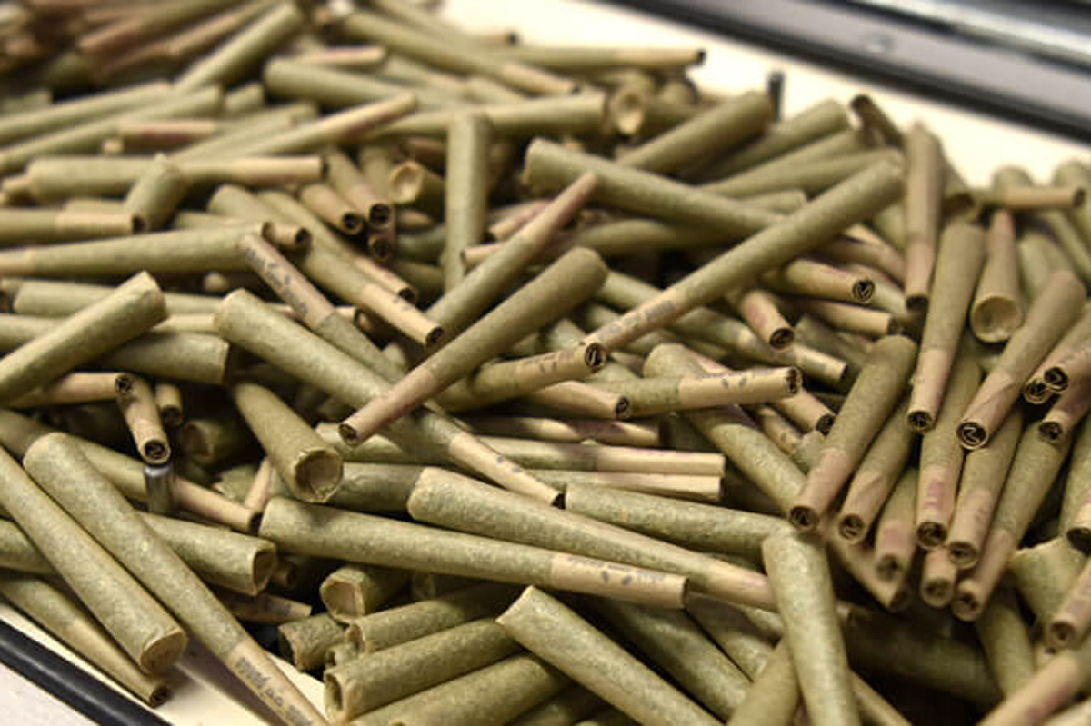 Sour Diesel Pre-Roll - Single