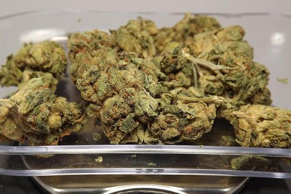 Super Lemon Haze - Sativa