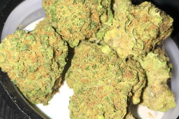 White Widow - Hybrid